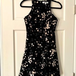 Elizabeth and James Black & Cream Skater Dress